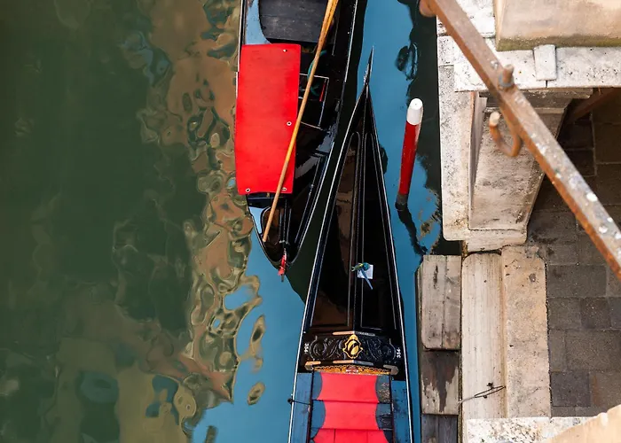 酒店 埃尔加泽蒂诺酒店 3*